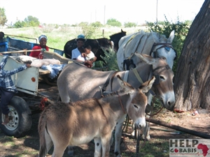 Gobabis 2007 032 [800x600].jpg